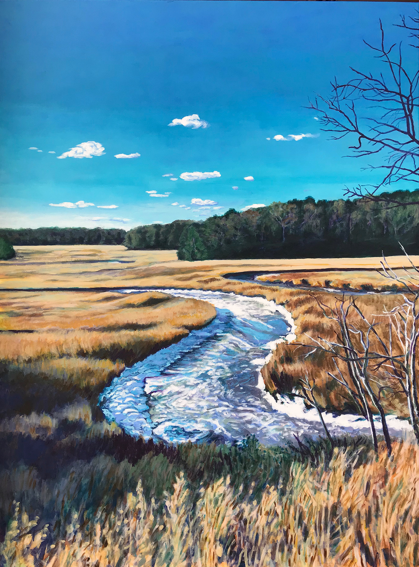 Landscape Portrait: Estuaries of the York River
